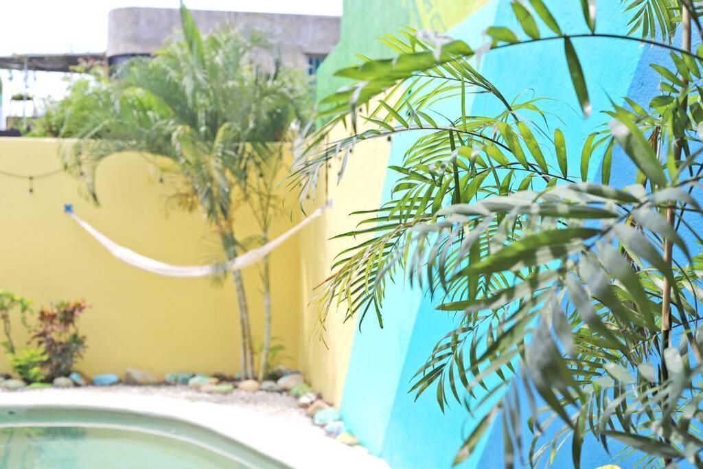 Studio -Sand At Mikasa- Fast Internet, King Bed, Pool, Near Beach, Ac Puerto Escondido  Dış mekan fotoğraf